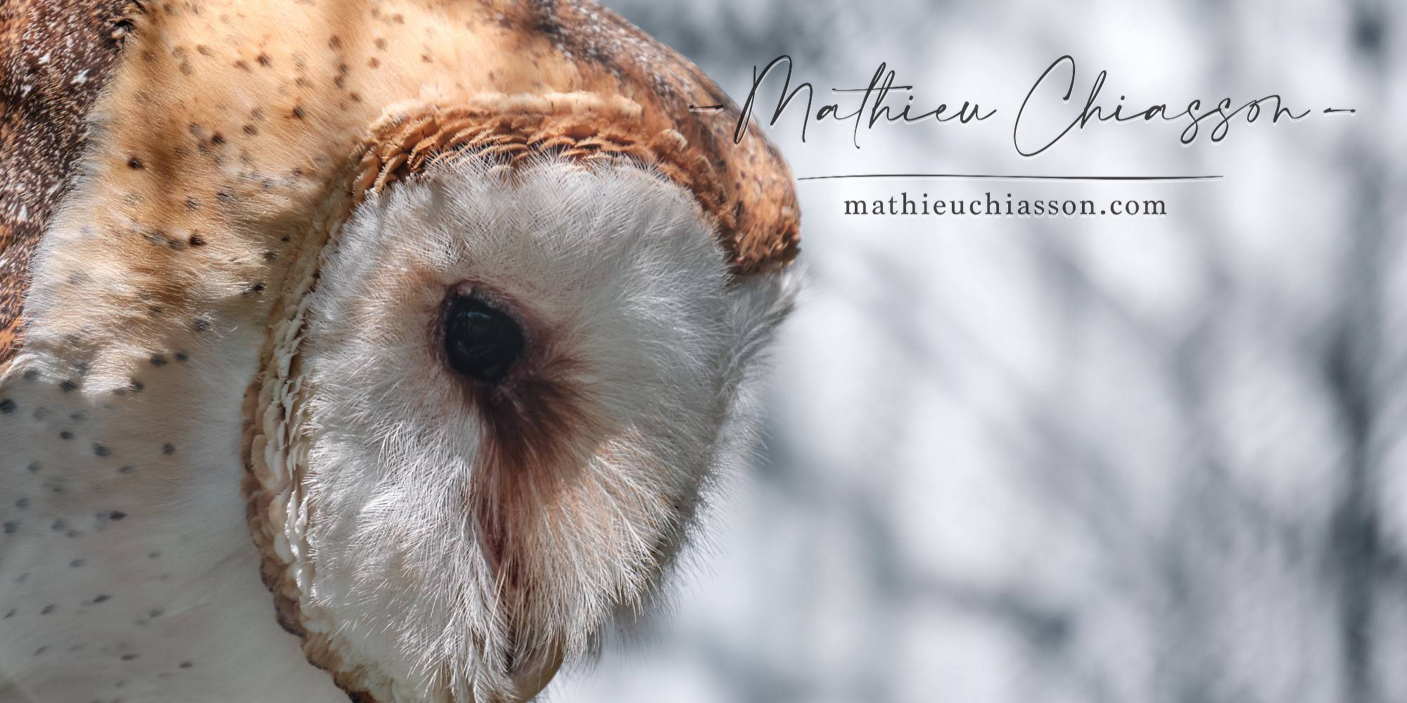 Photo by Mathieu Chiasson